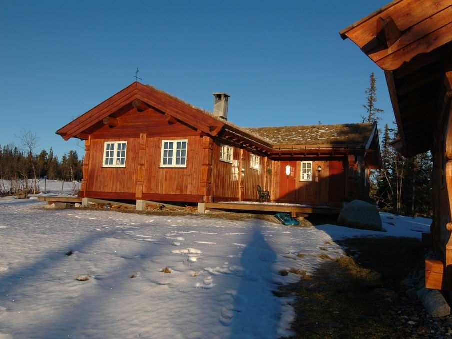 Tradisjonell laftehytte med torvtak omgitt av snø, belyst av lav kveldssol vinterstid.